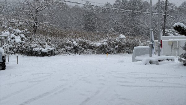 臨時休園とさせていただきます。